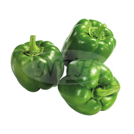 Green Capsium/ Capsium Hijau